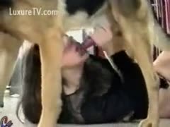 A vintage clip for zoophilia fans